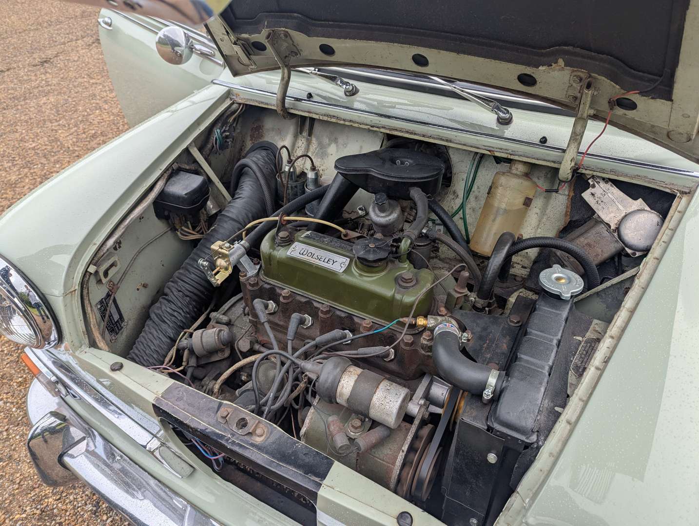 <p>1965 WOLSELEY HORNET</p>