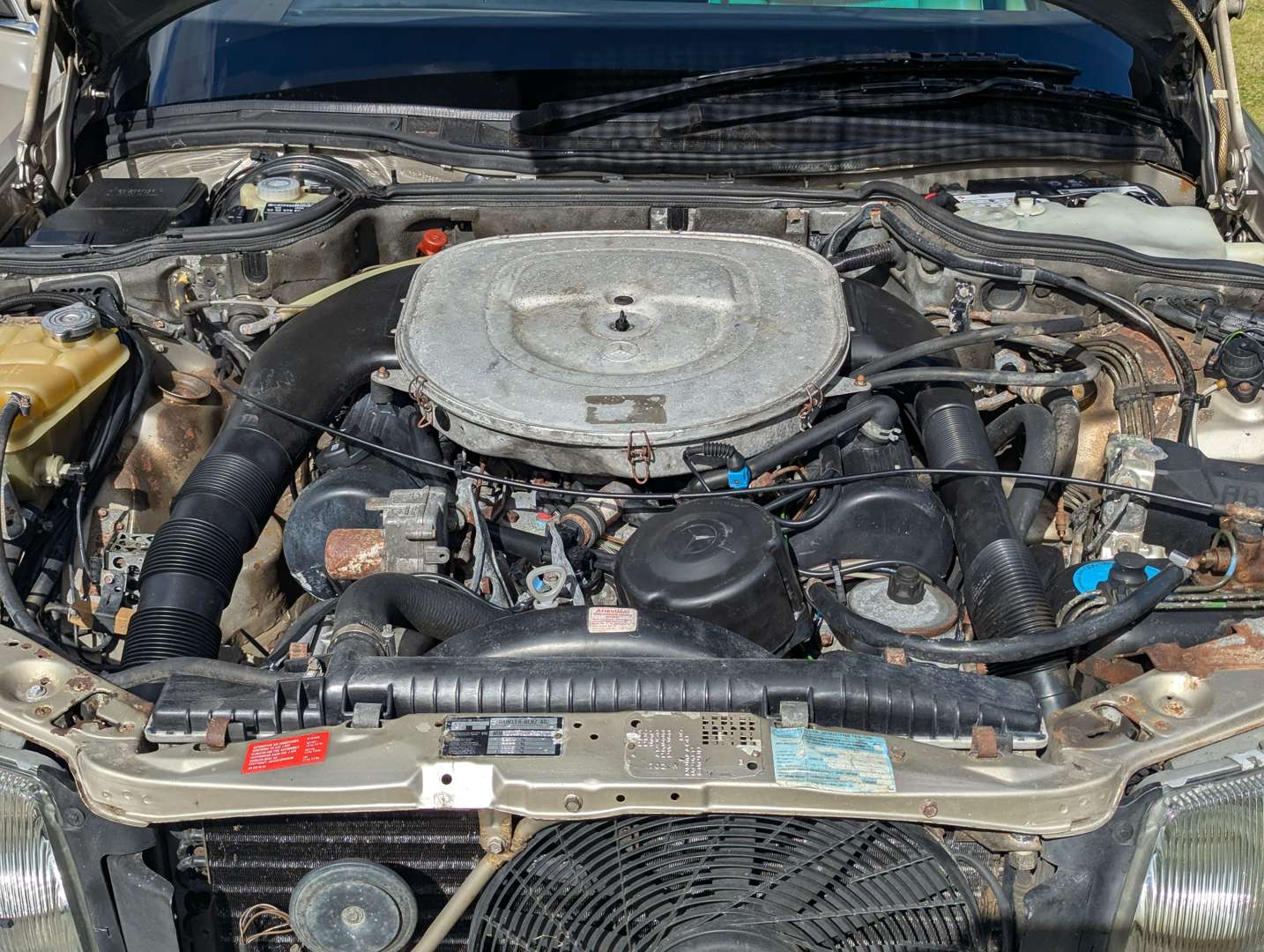 <p>1989 MERCEDES W126 560 SEL</p>