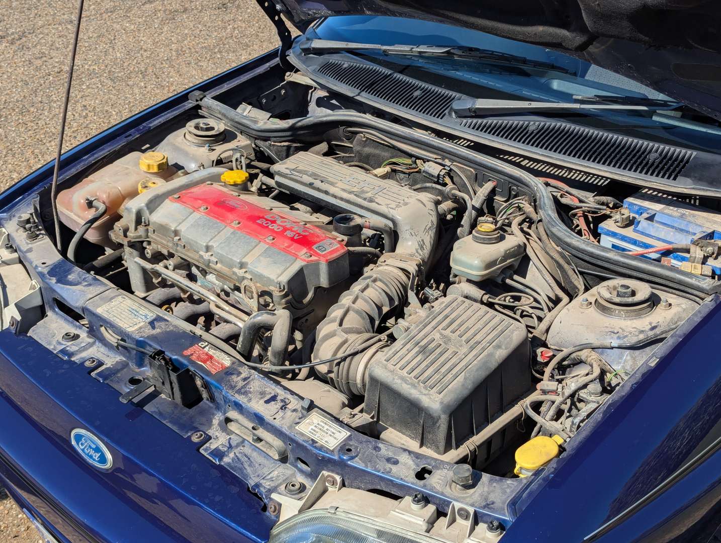 <p>1992 FORD ESCORT RS 2000</p>