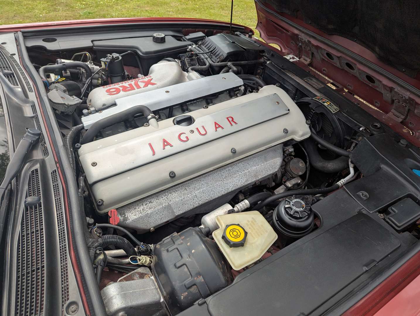 <p>1995 JAGUAR XJ-R</p>
