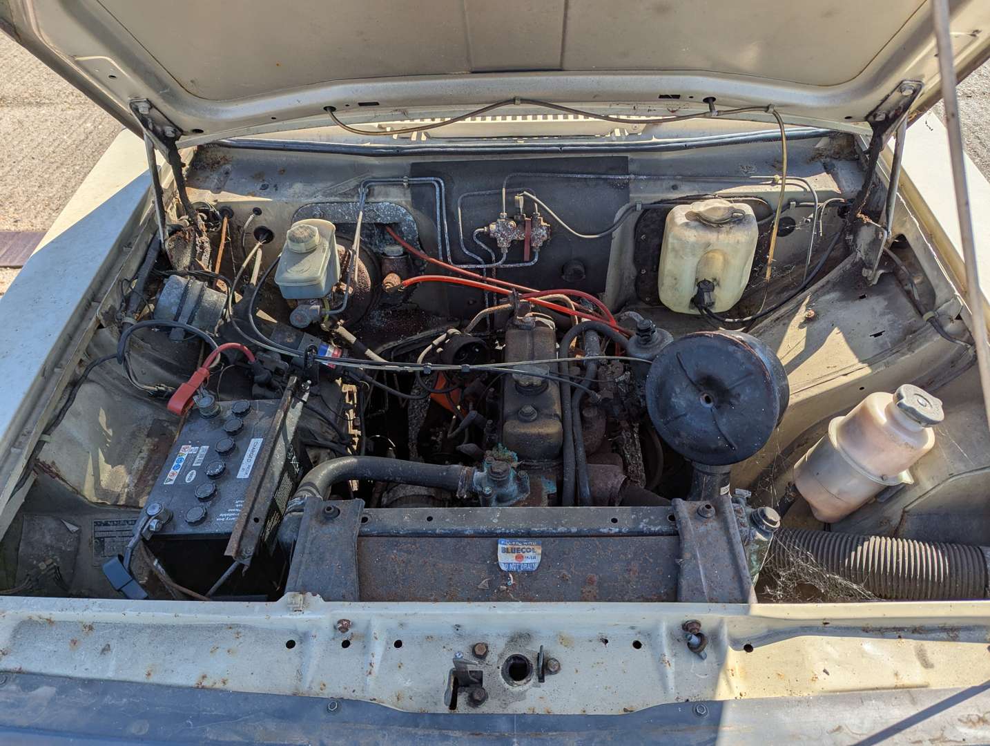 <p>1982 MORRIS ITAL SLX</p>