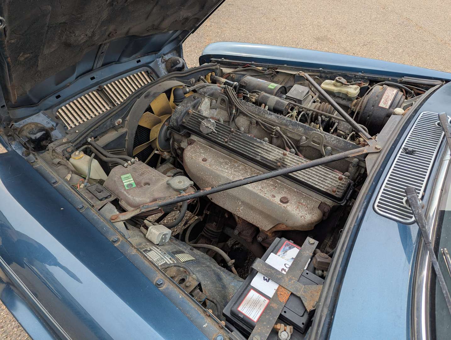 <p>1982 JAGUAR XJ6 4.2 MANUAL SIII</p>