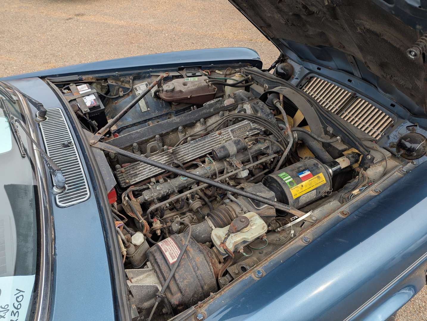 <p>1982 JAGUAR XJ6 4.2 MANUAL SIII</p>