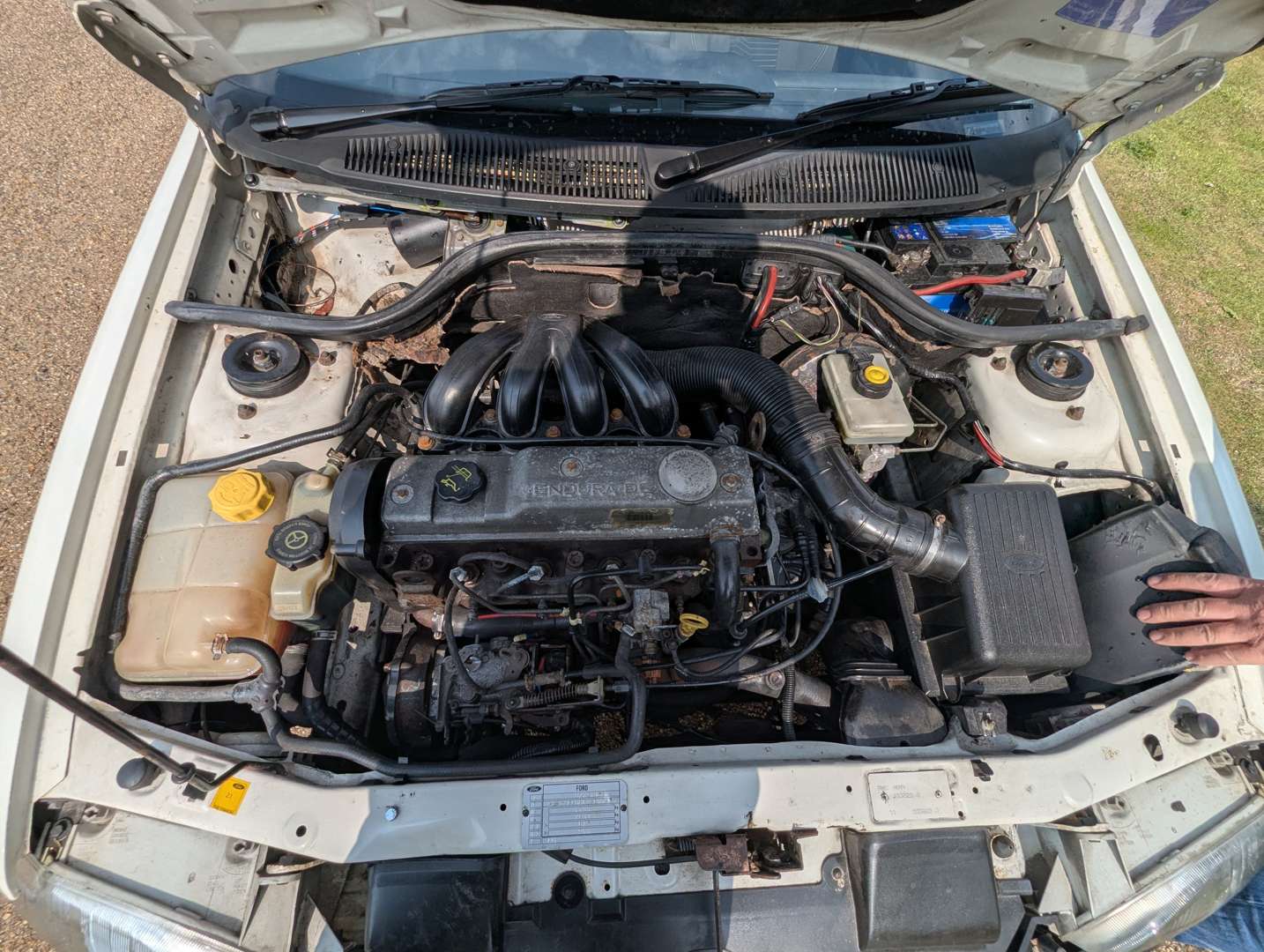 <p>2000 FORD ESCORT 55 D VAN</p>