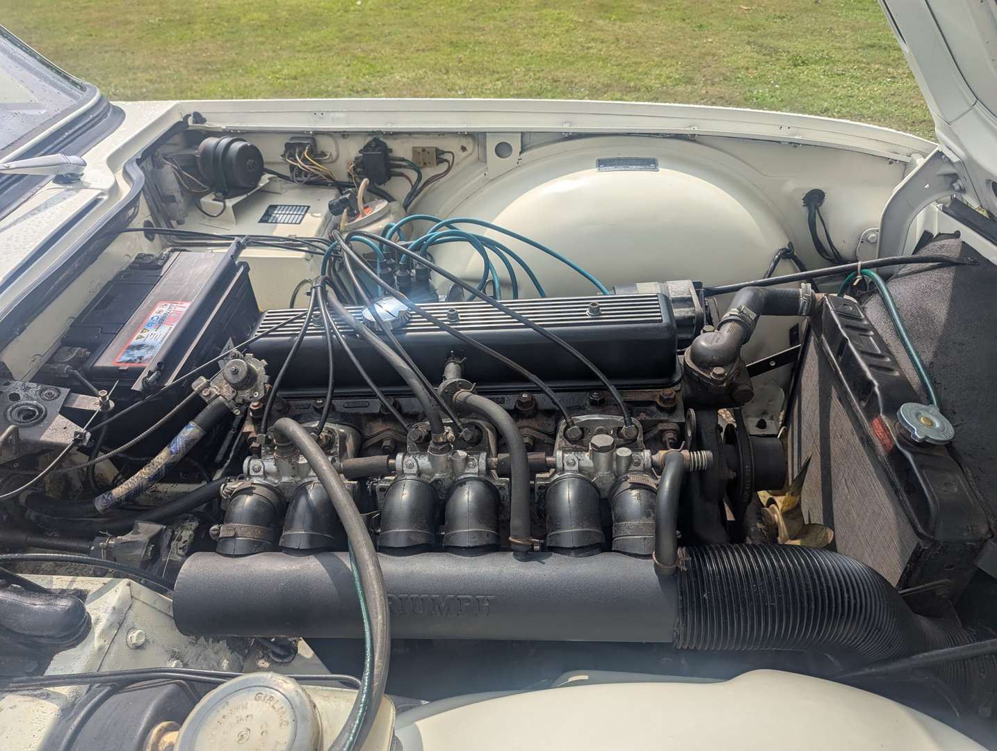 <p>1972 TRIUMPH TR6 PI</p>