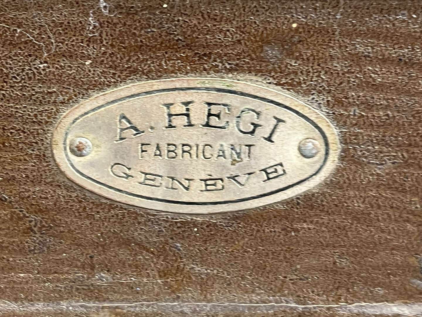 <p>Hegi Leather bound Travelling Trunk &nbsp;&nbsp;</p>