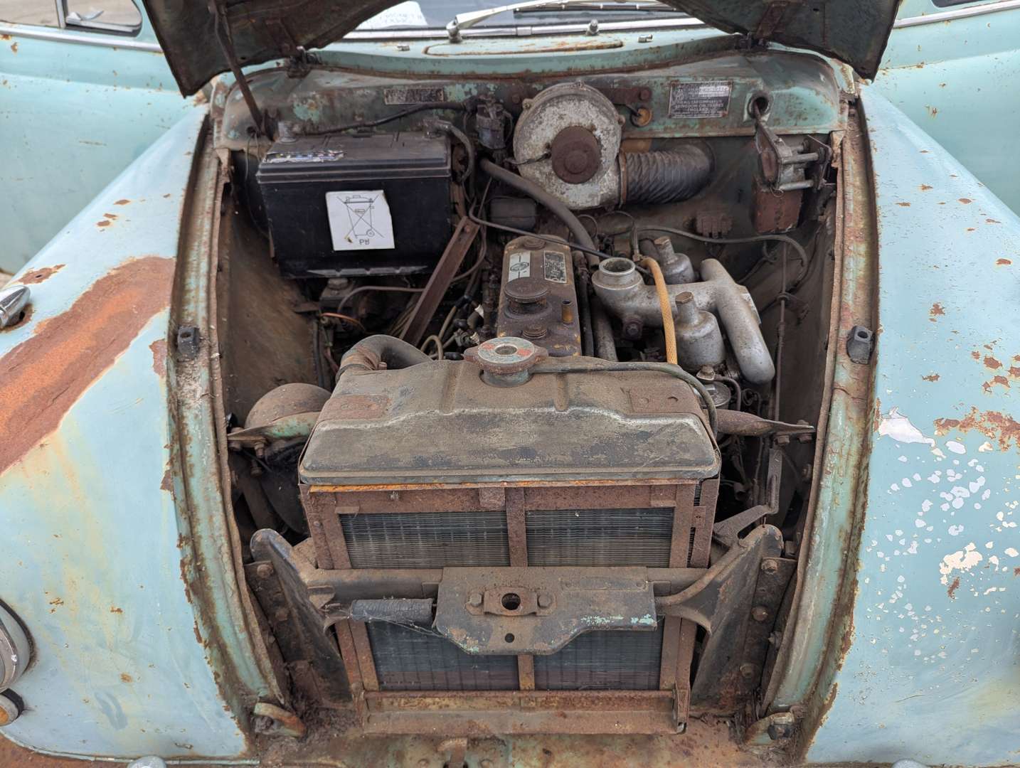 <p>1955 MG MAGNETTE</p>