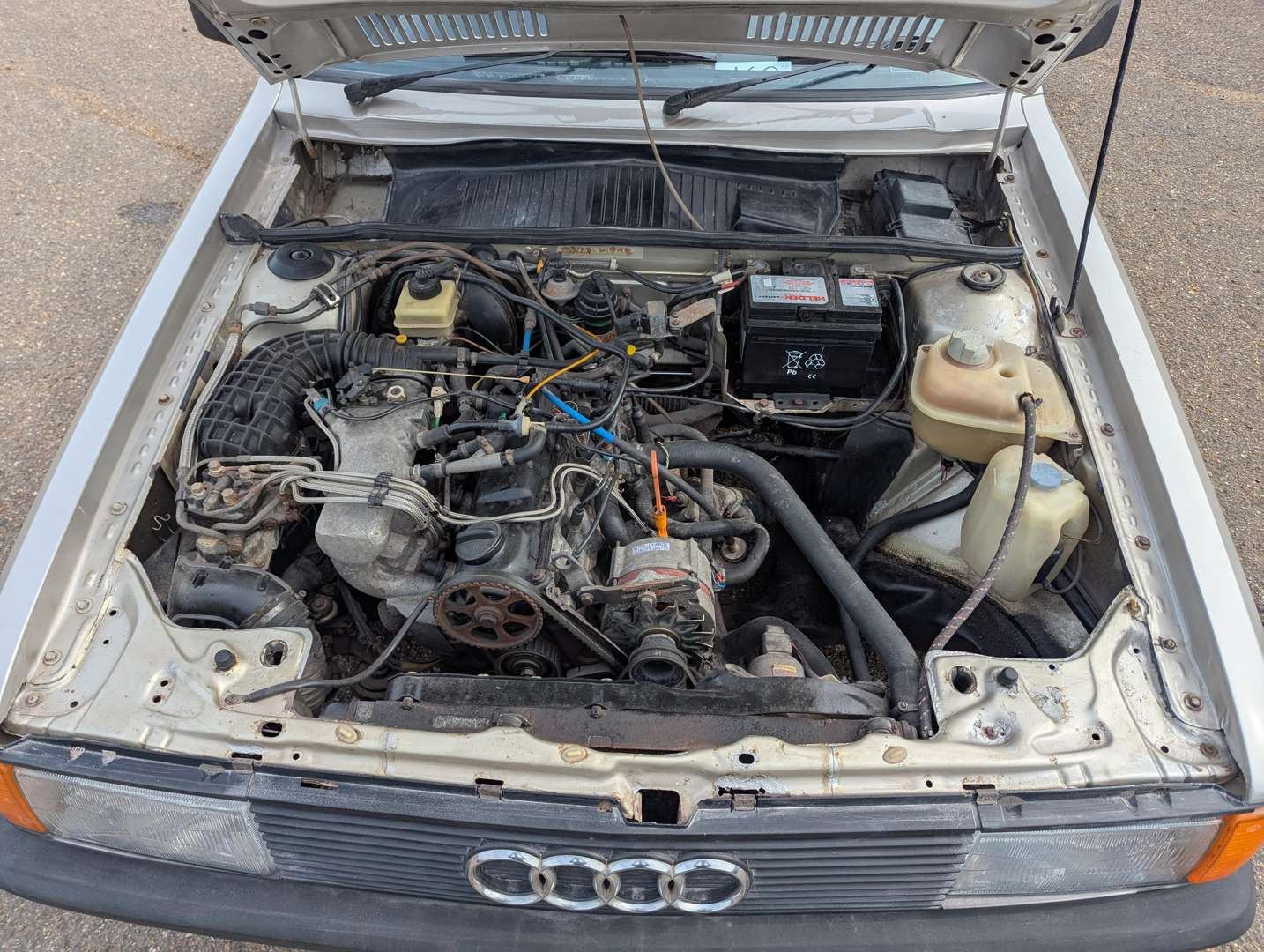 <p>1986 AUDI 80 SPORT B2</p>