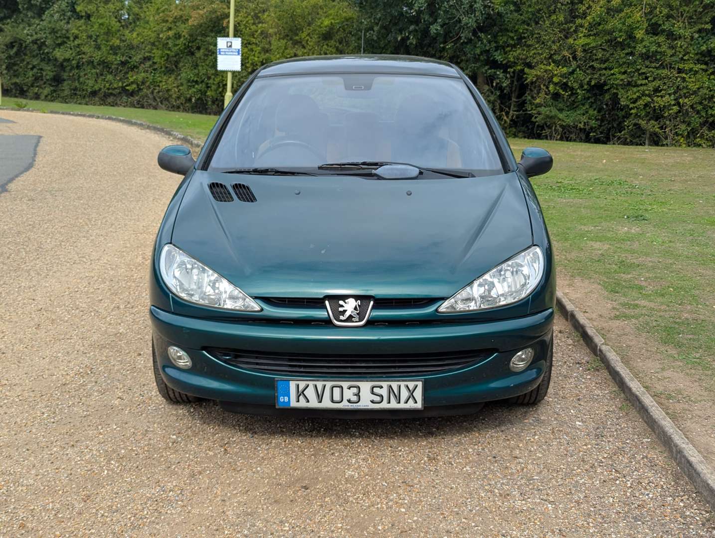 <p>2003 PEUGEOT 206 ROLAND GARROS</p>