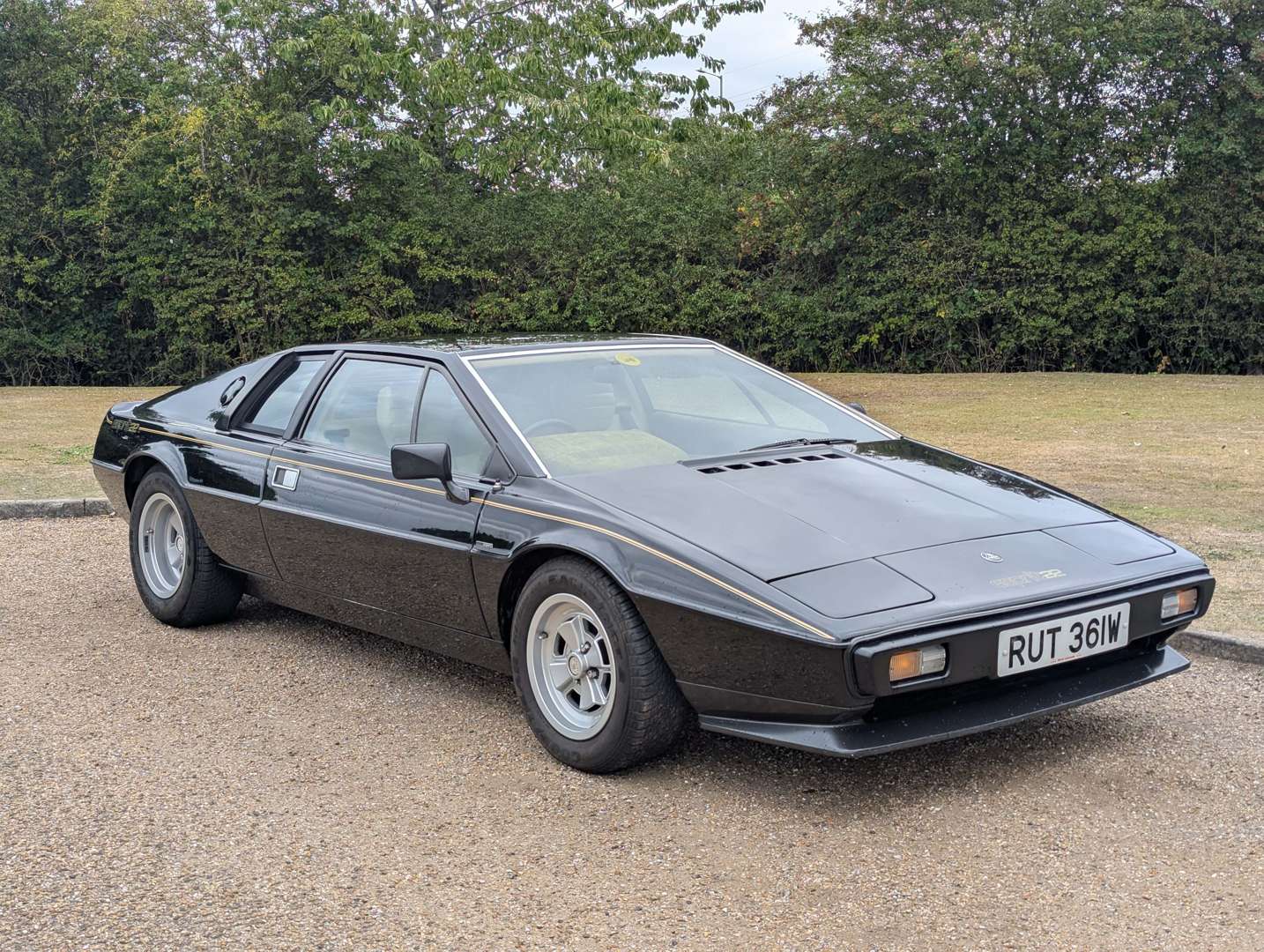 <p>1981 LOTUS ESPRIT</p>