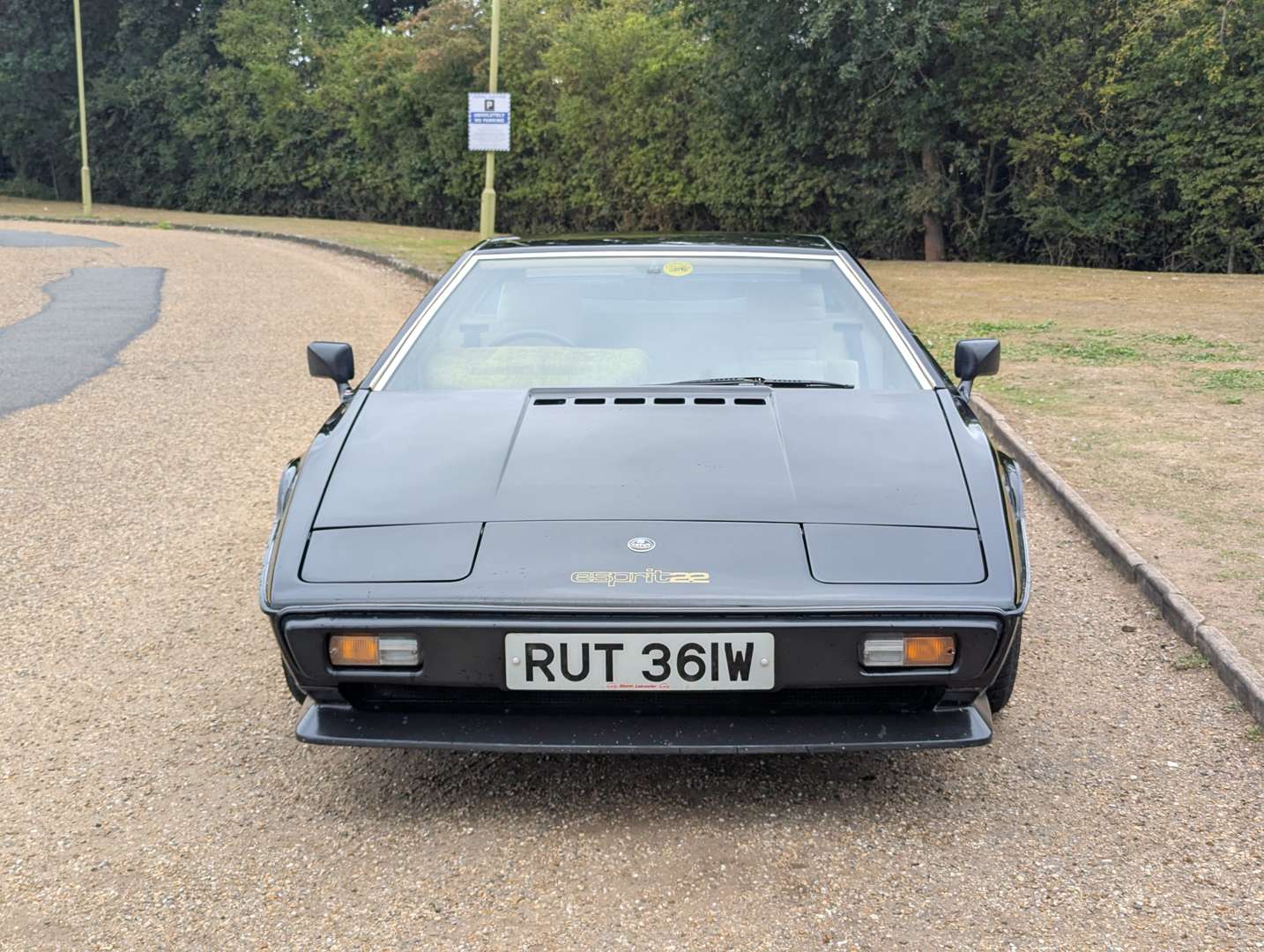 <p>1981 LOTUS ESPRIT</p>