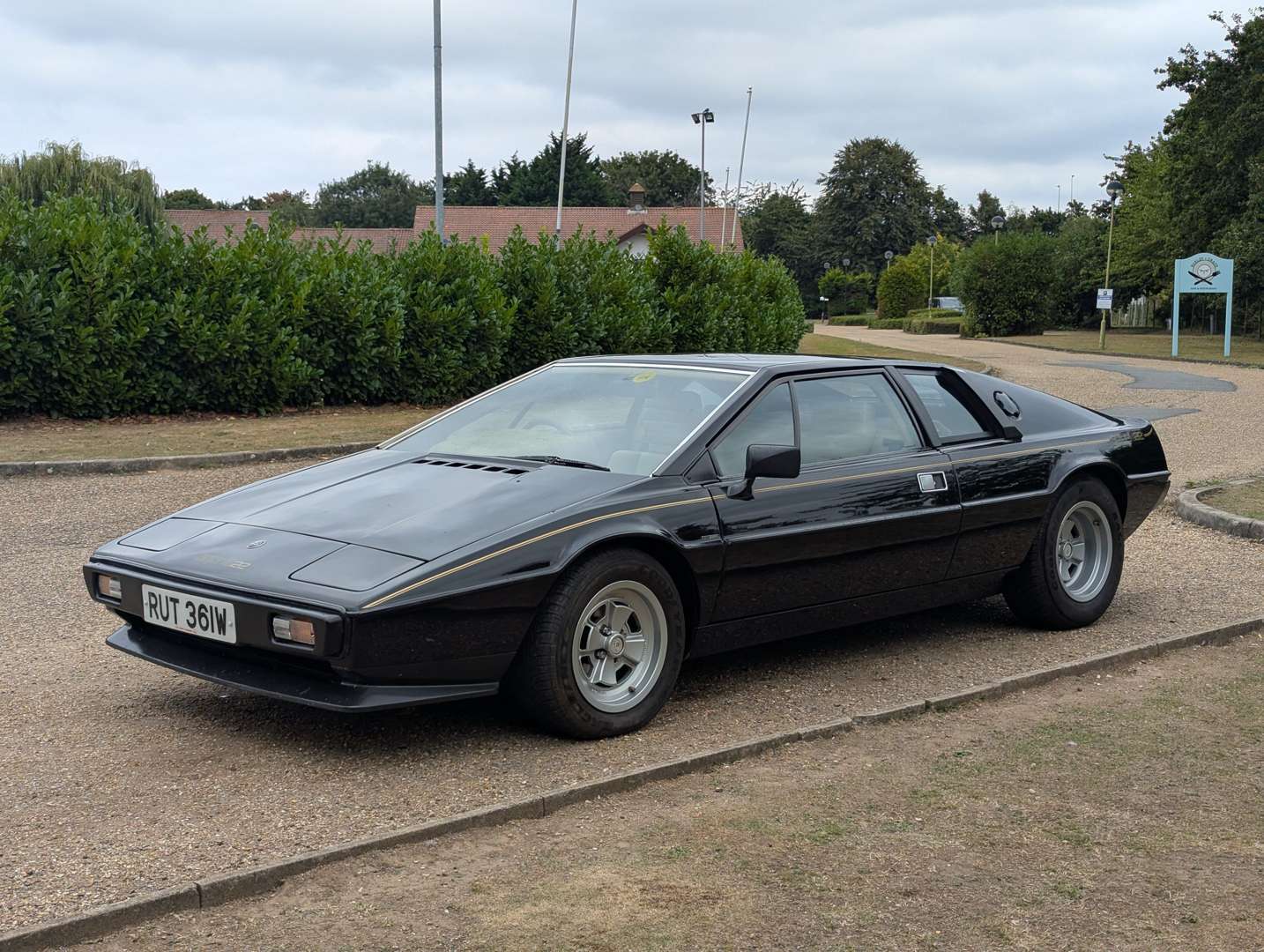 <p>1981 LOTUS ESPRIT</p>