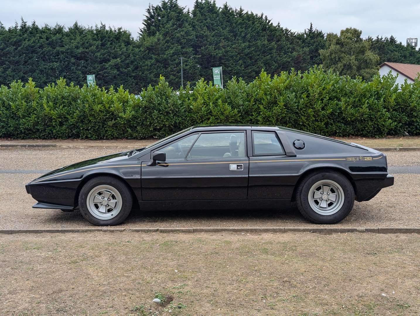 <p>1981 LOTUS ESPRIT</p>