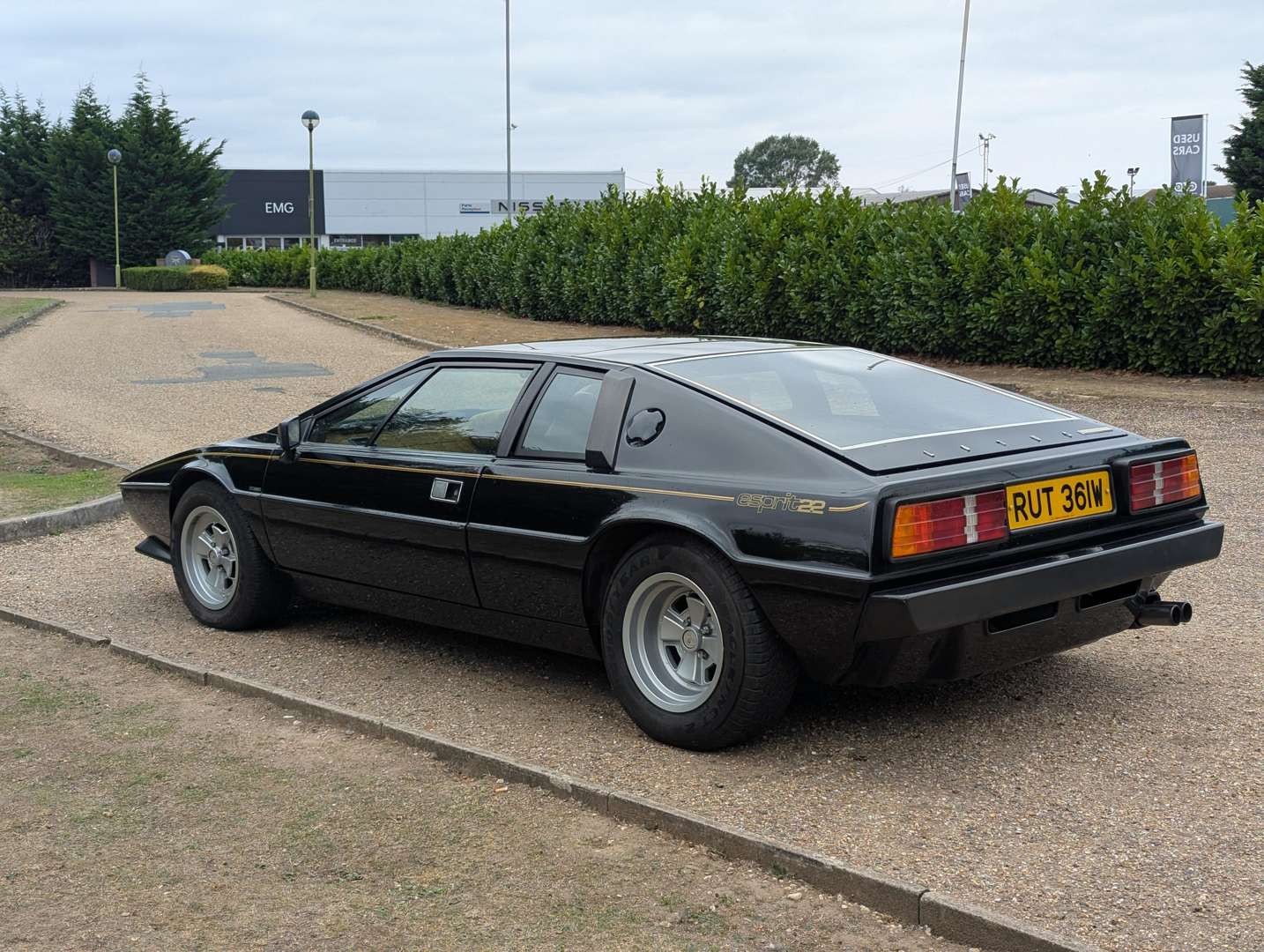 <p>1981 LOTUS ESPRIT</p>