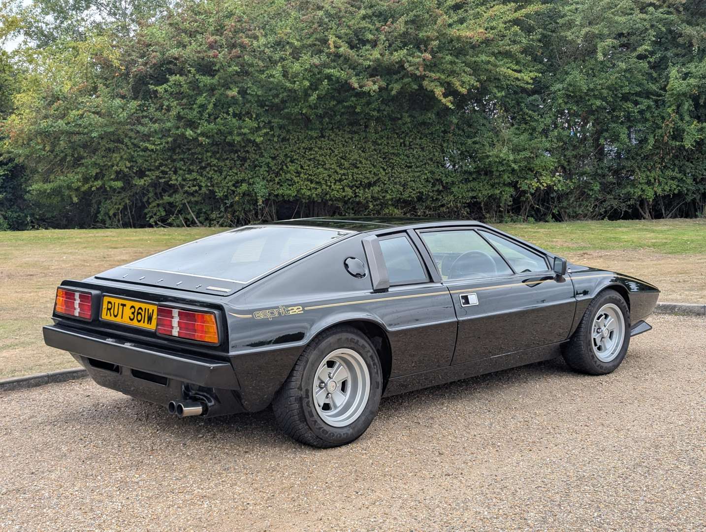 <p>1981 LOTUS ESPRIT</p>
