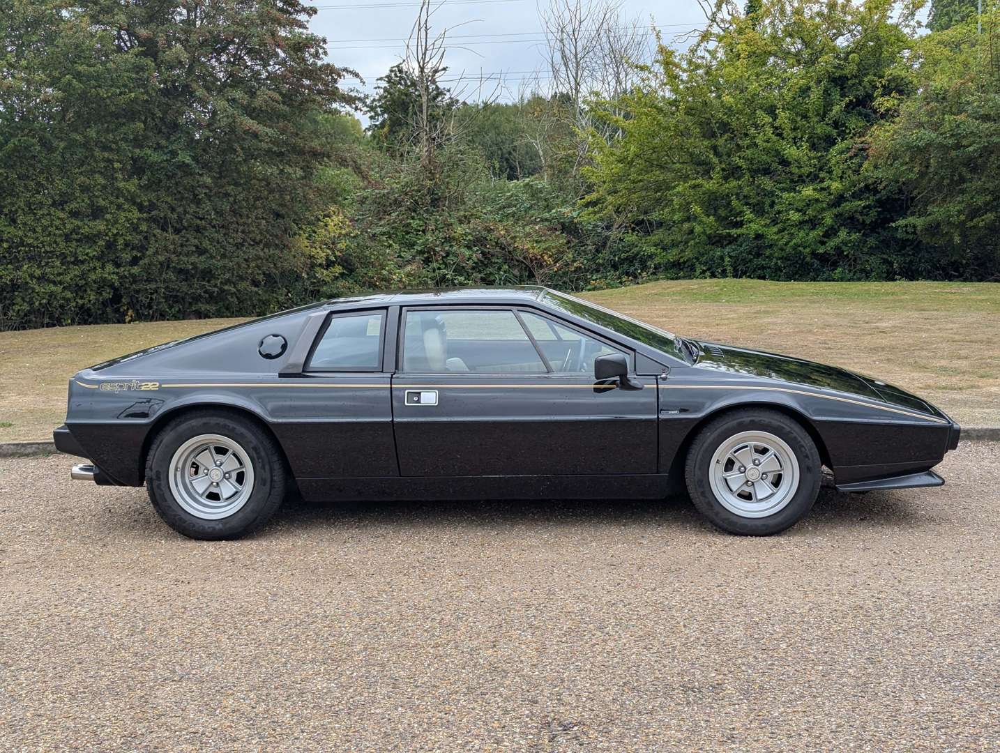 <p>1981 LOTUS ESPRIT</p>