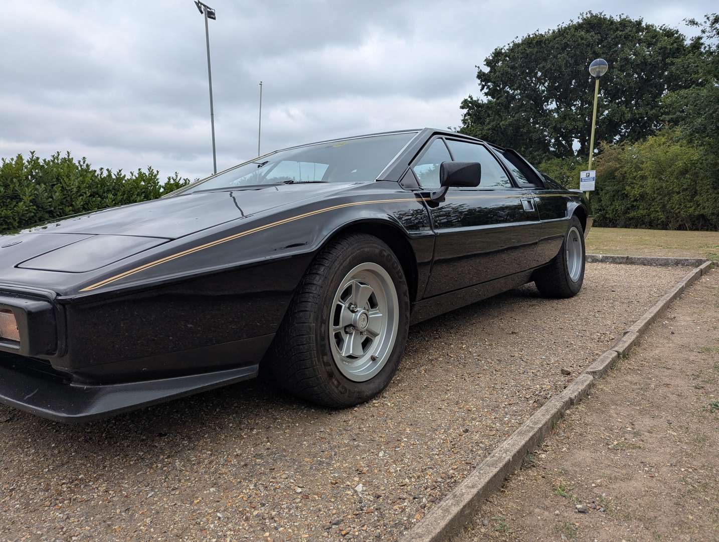 <p>1981 LOTUS ESPRIT</p>