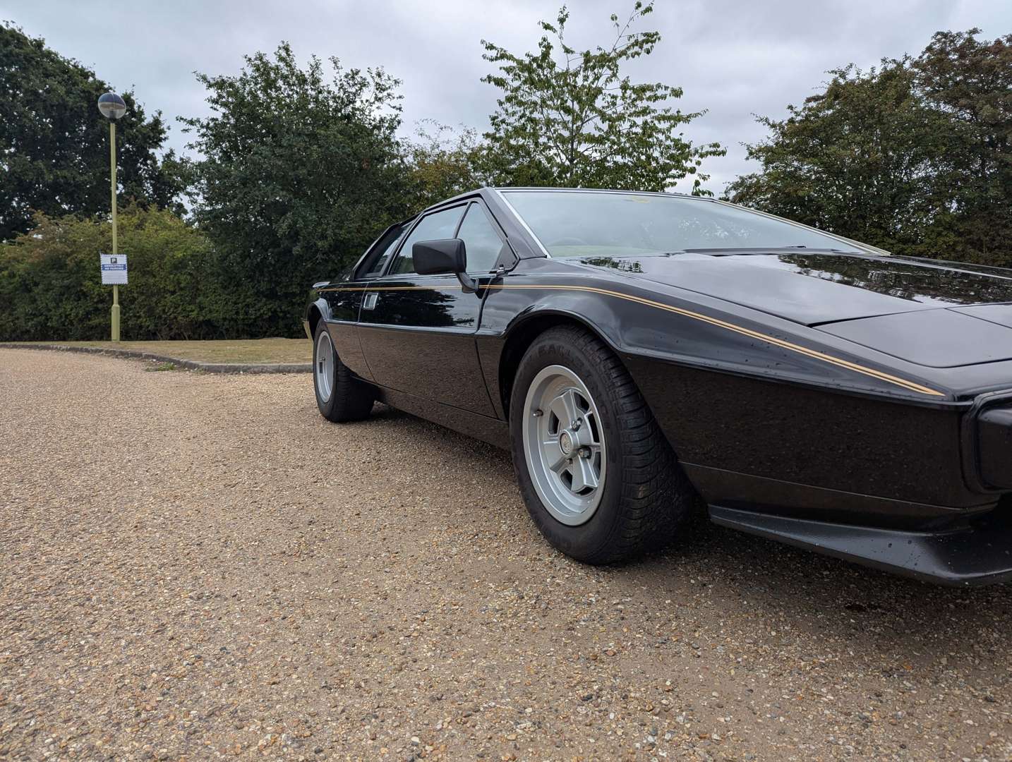 <p>1981 LOTUS ESPRIT</p>