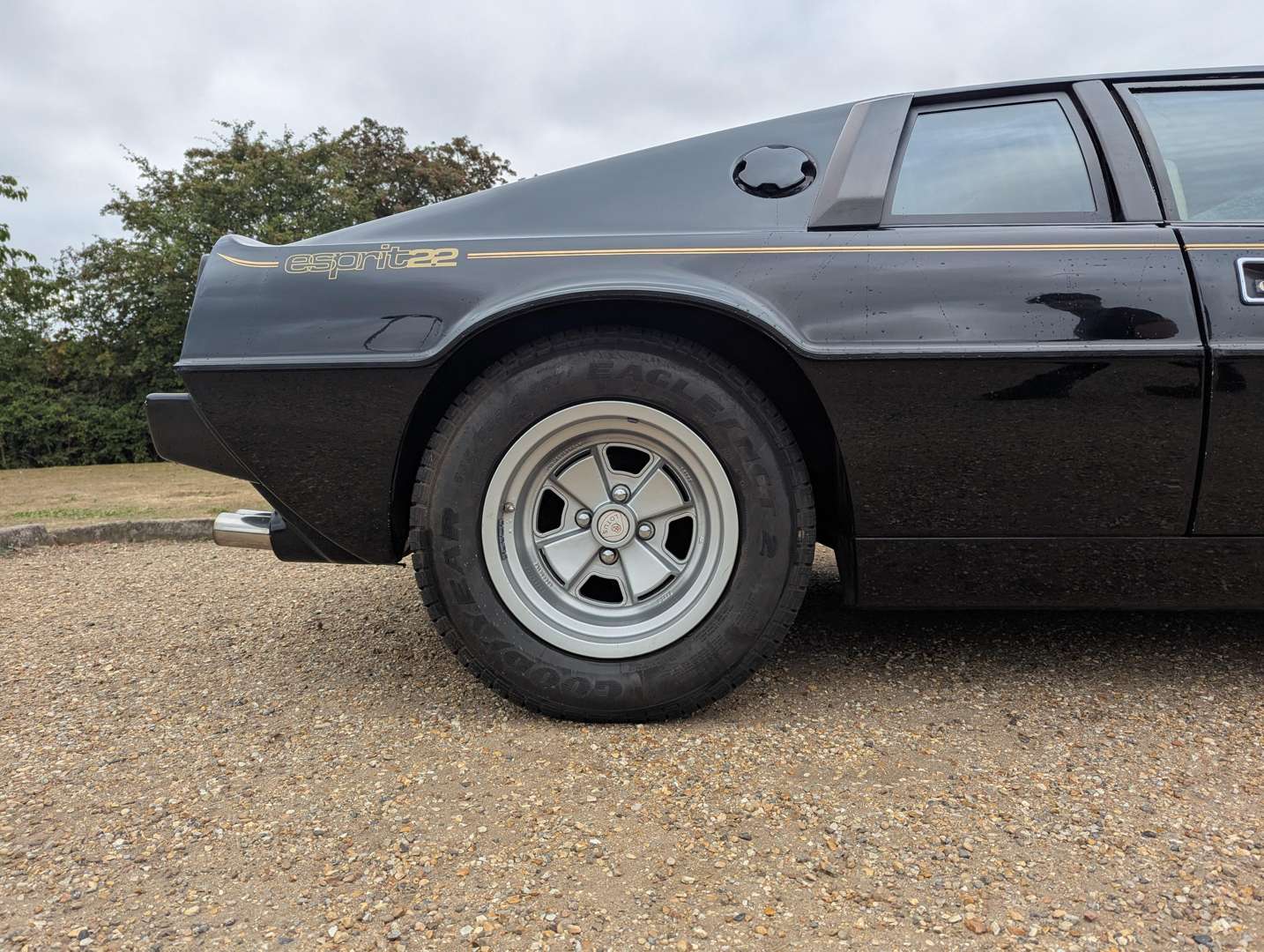 <p>1981 LOTUS ESPRIT</p>