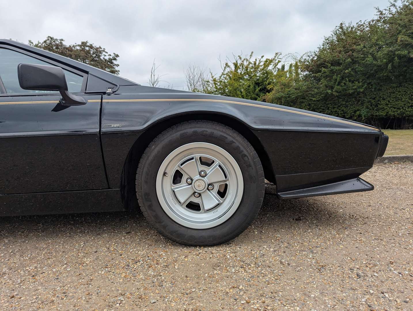 <p>1981 LOTUS ESPRIT</p>
