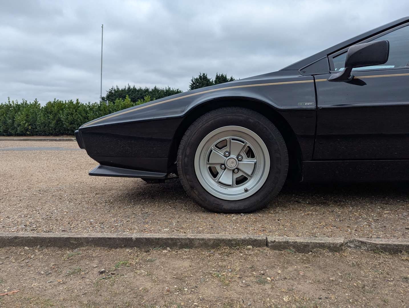 <p>1981 LOTUS ESPRIT</p>