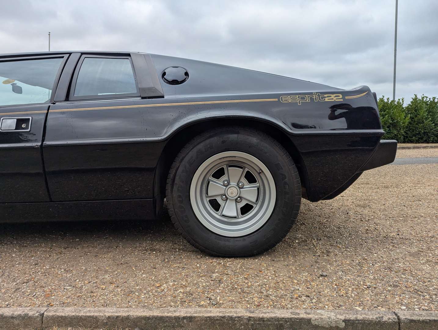 <p>1981 LOTUS ESPRIT</p>