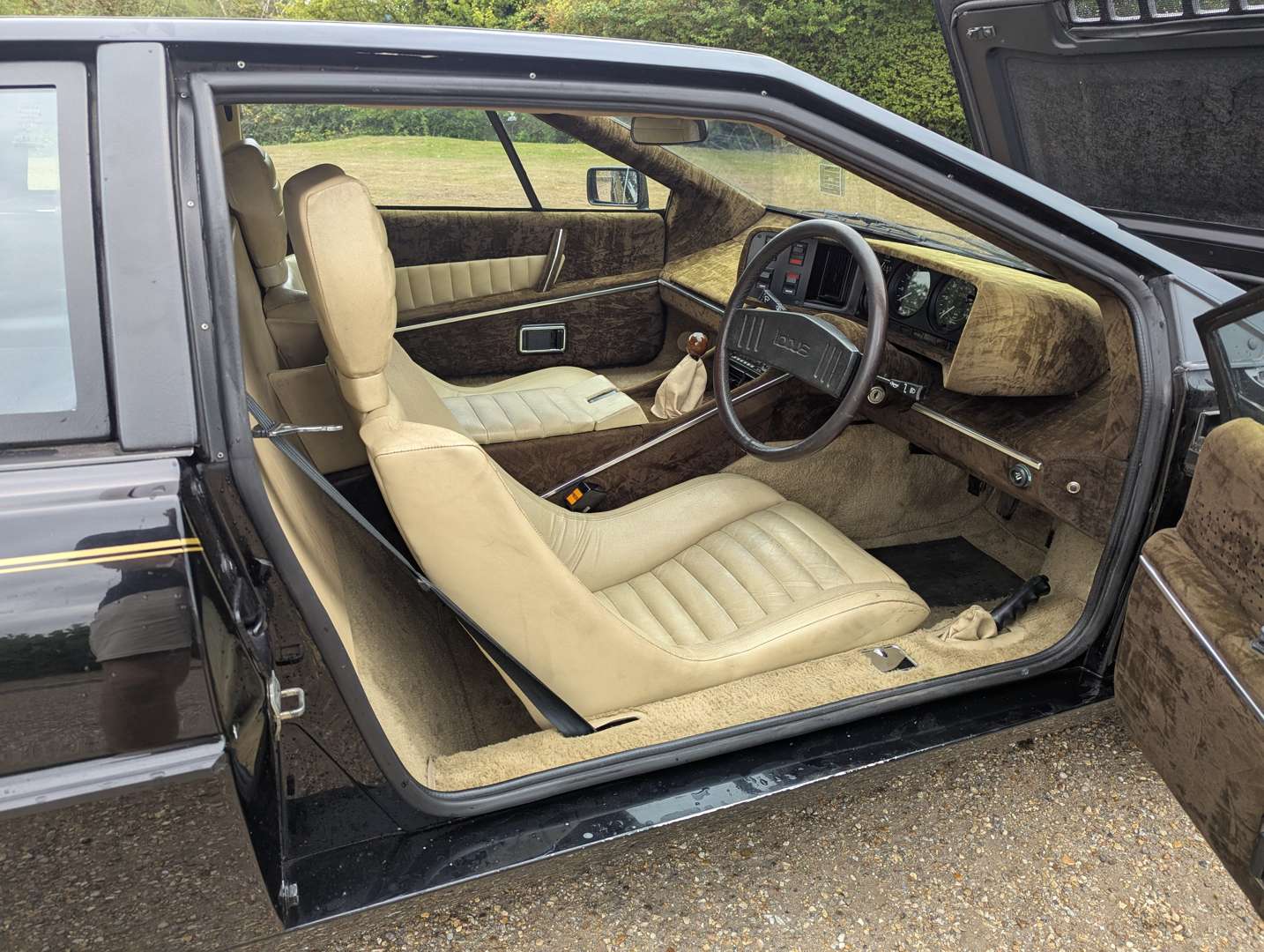 <p>1981 LOTUS ESPRIT</p>