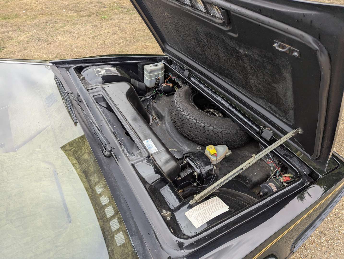 <p>1981 LOTUS ESPRIT</p>