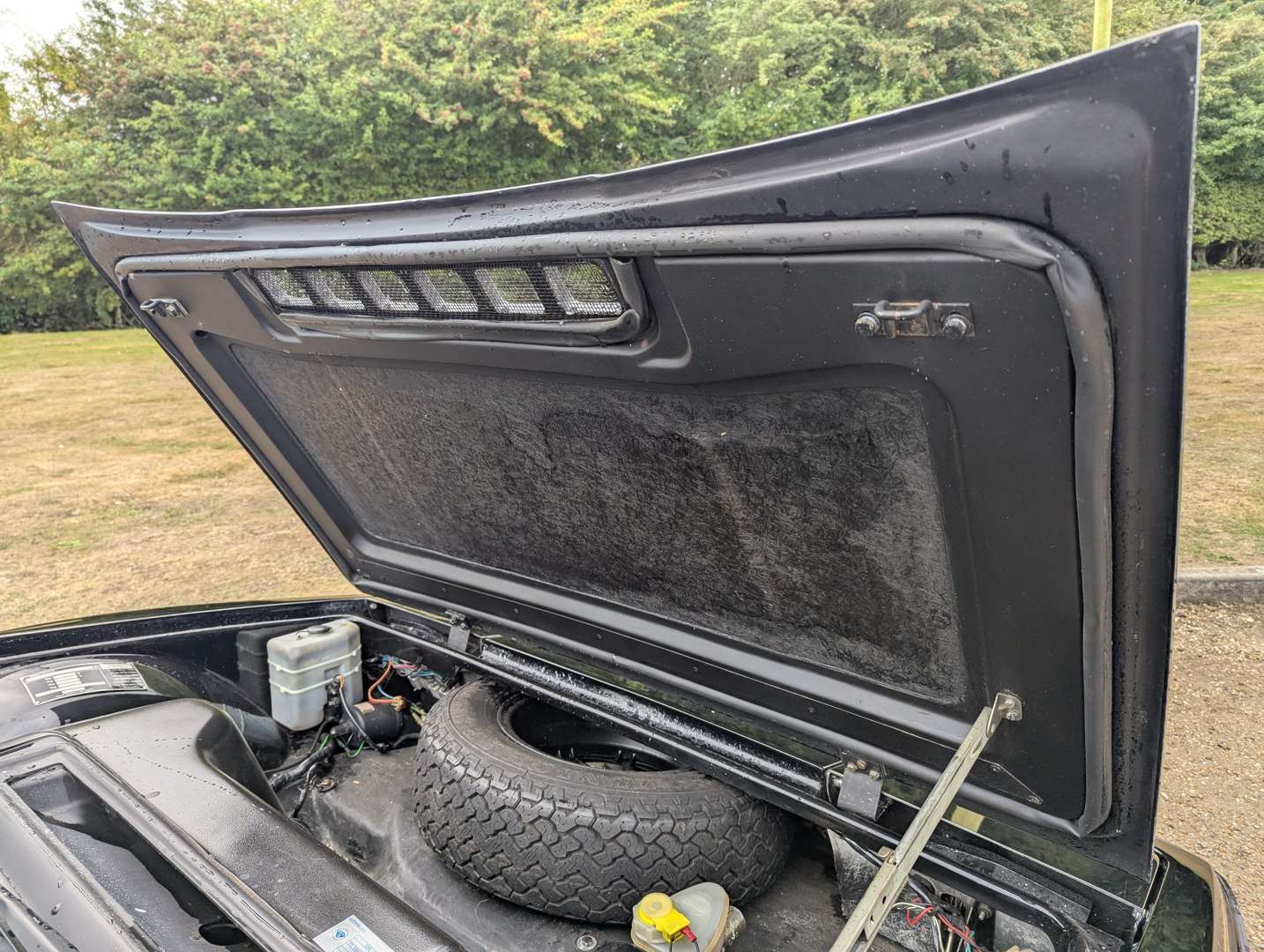 <p>1981 LOTUS ESPRIT</p>