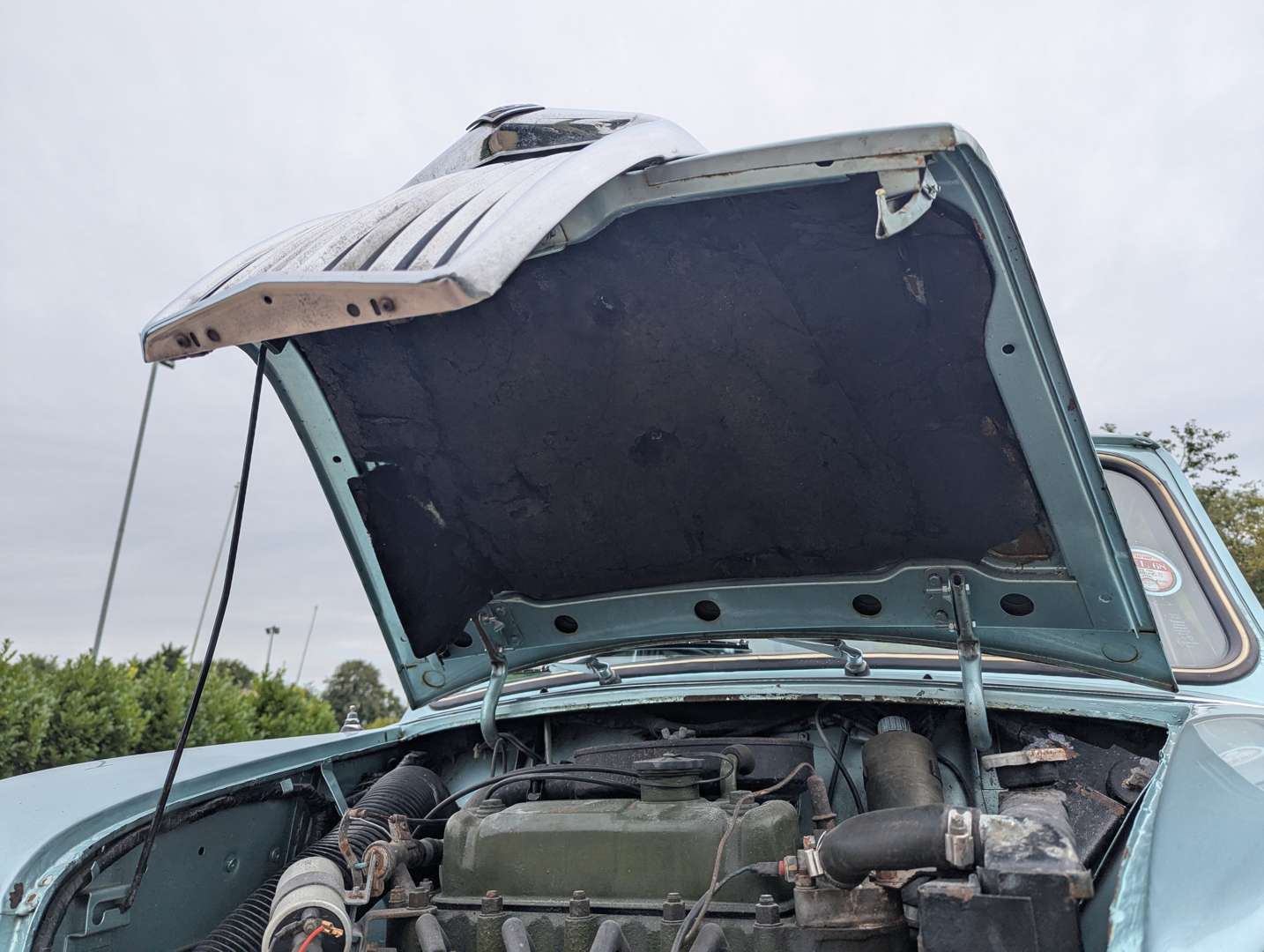 <p>1968 RILEY ELF</p>