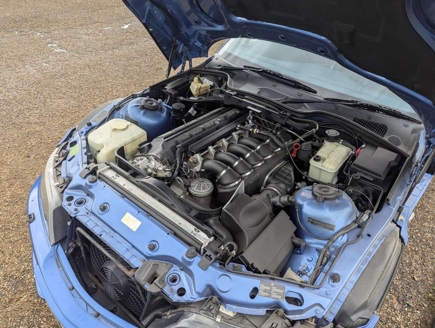 <p>1999 BMW Z3M COUPE</p>