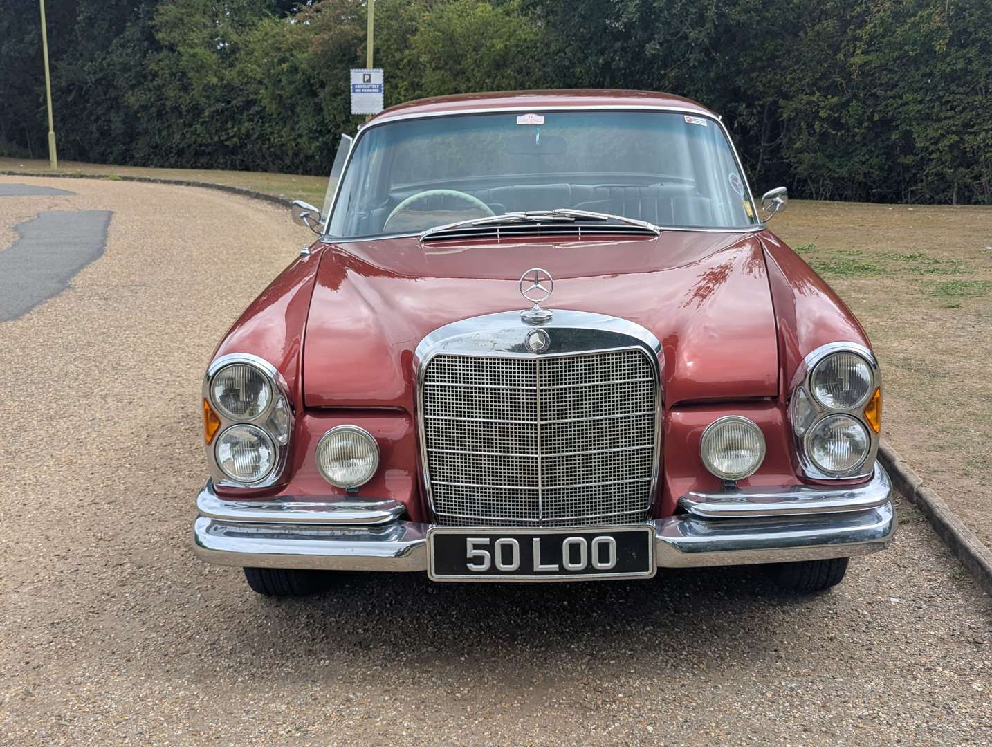 <p>1966 MERCEDES 300 SE COUPE</p>