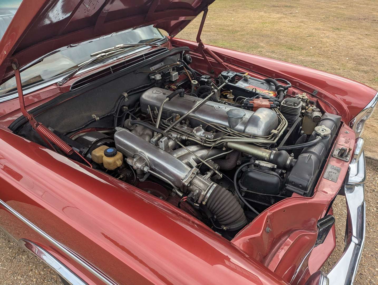 <p>1966 MERCEDES 300 SE COUPE</p>