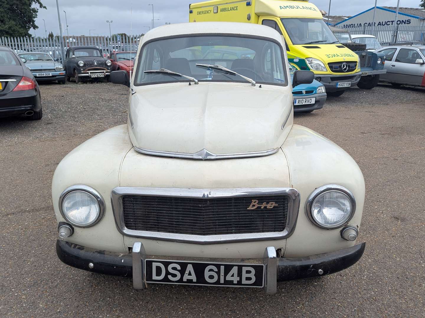 <p>1964 VOLVO PV544D</p>