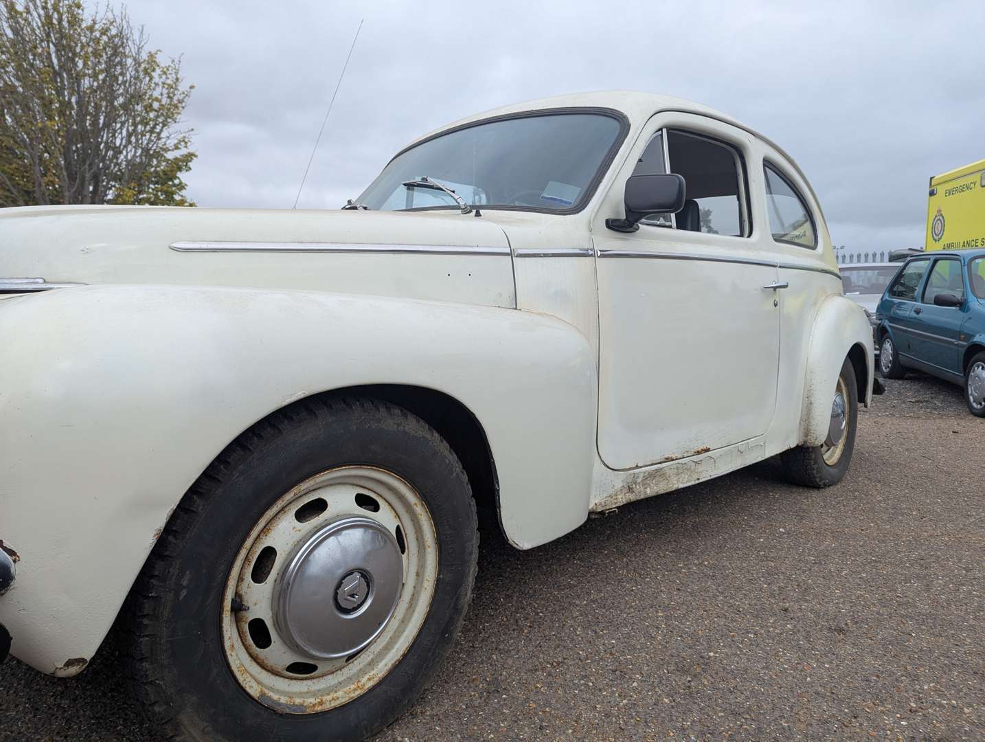<p>1964 VOLVO PV544D</p>