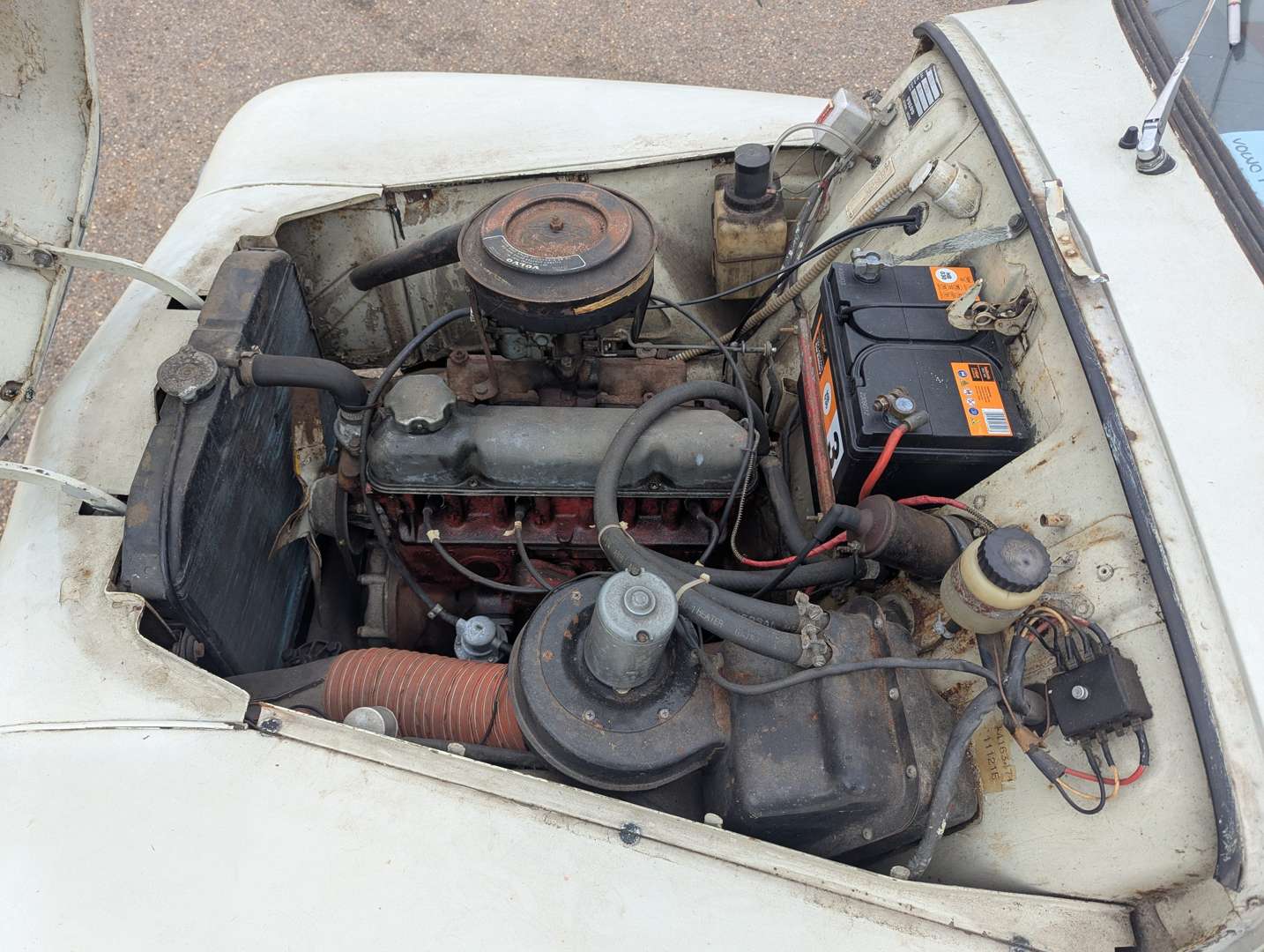 <p>1964 VOLVO PV544D</p>