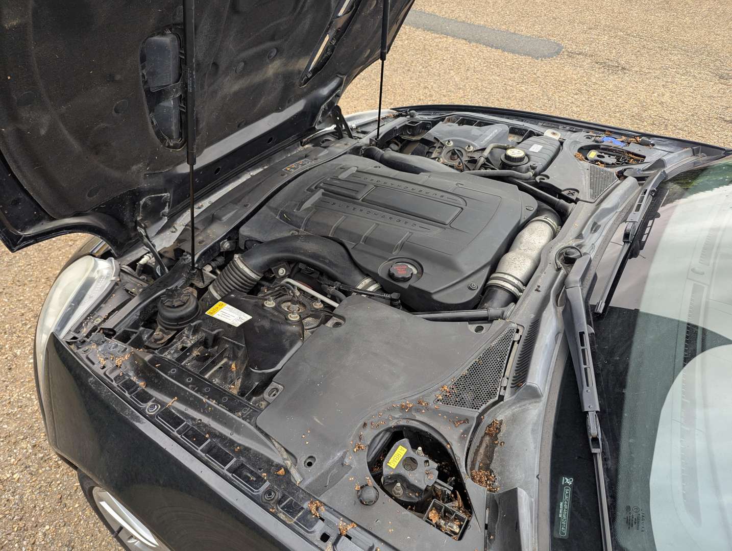 <p>2007 JAGUAR XKR 4.2 AUTO CONVERTIBLE</p>