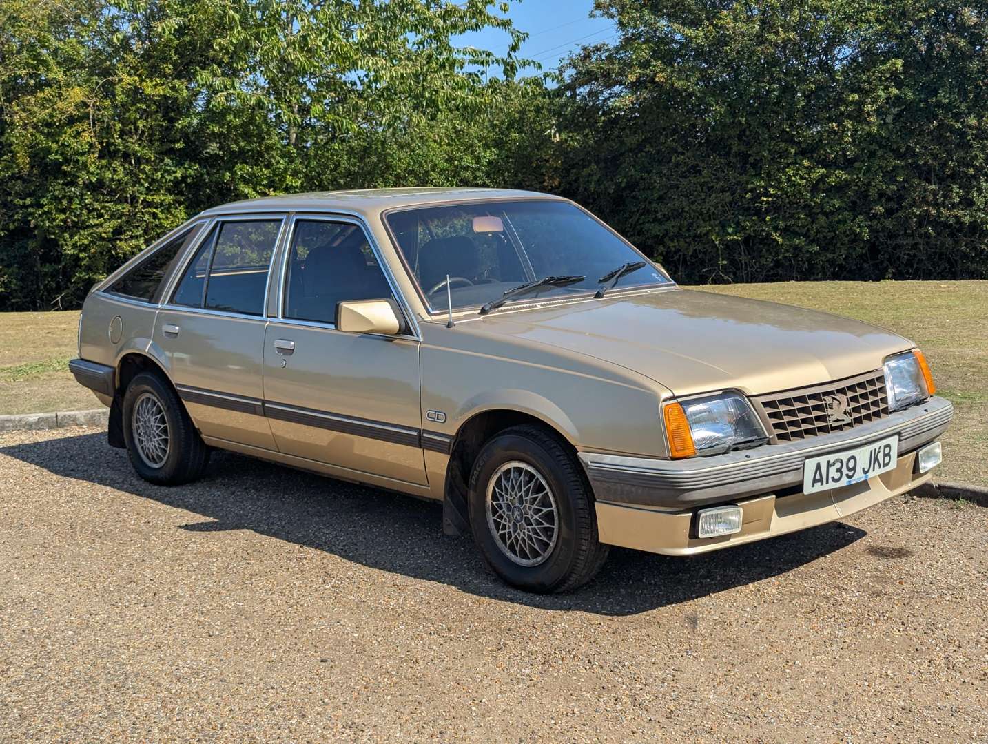 <p>1984 VAUXHALL CAVALIER CD 1.8E</p>