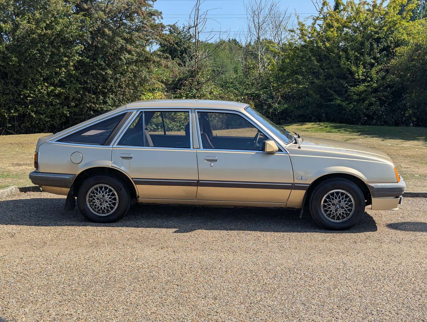 <p>1984 VAUXHALL CAVALIER CD 1.8E</p>