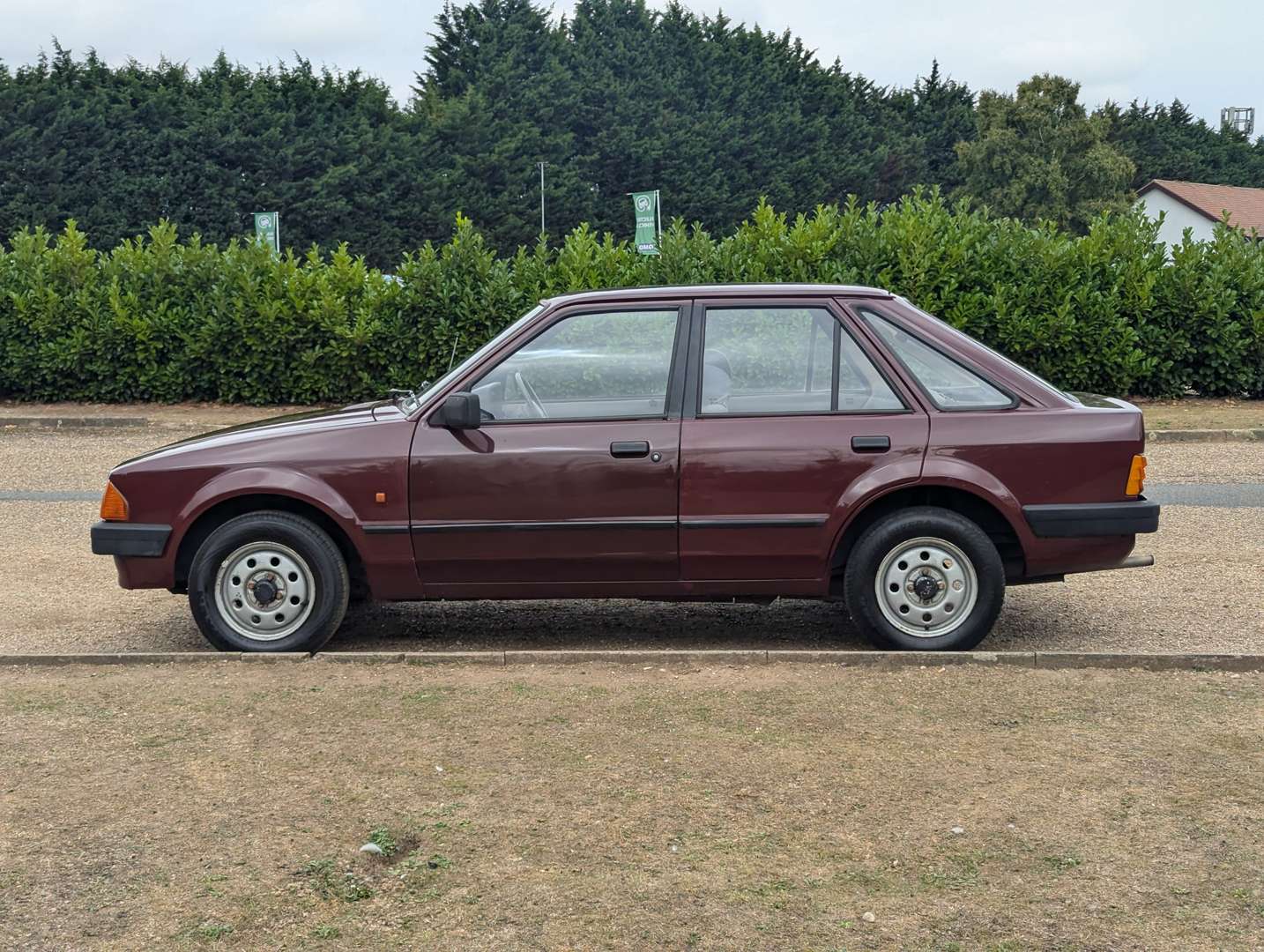 <p>1986 FORD ESCORT L</p>