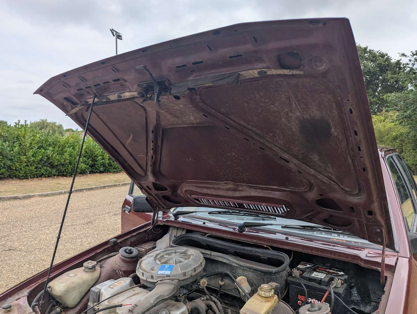 <p>1986 FORD ESCORT L</p>