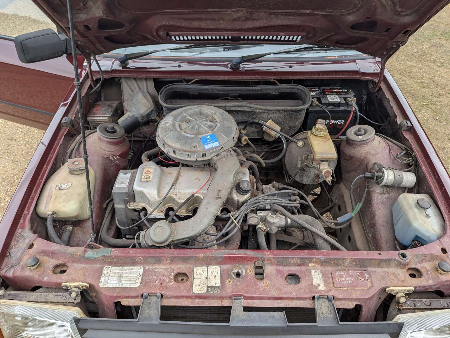 <p>1986 FORD ESCORT L</p>