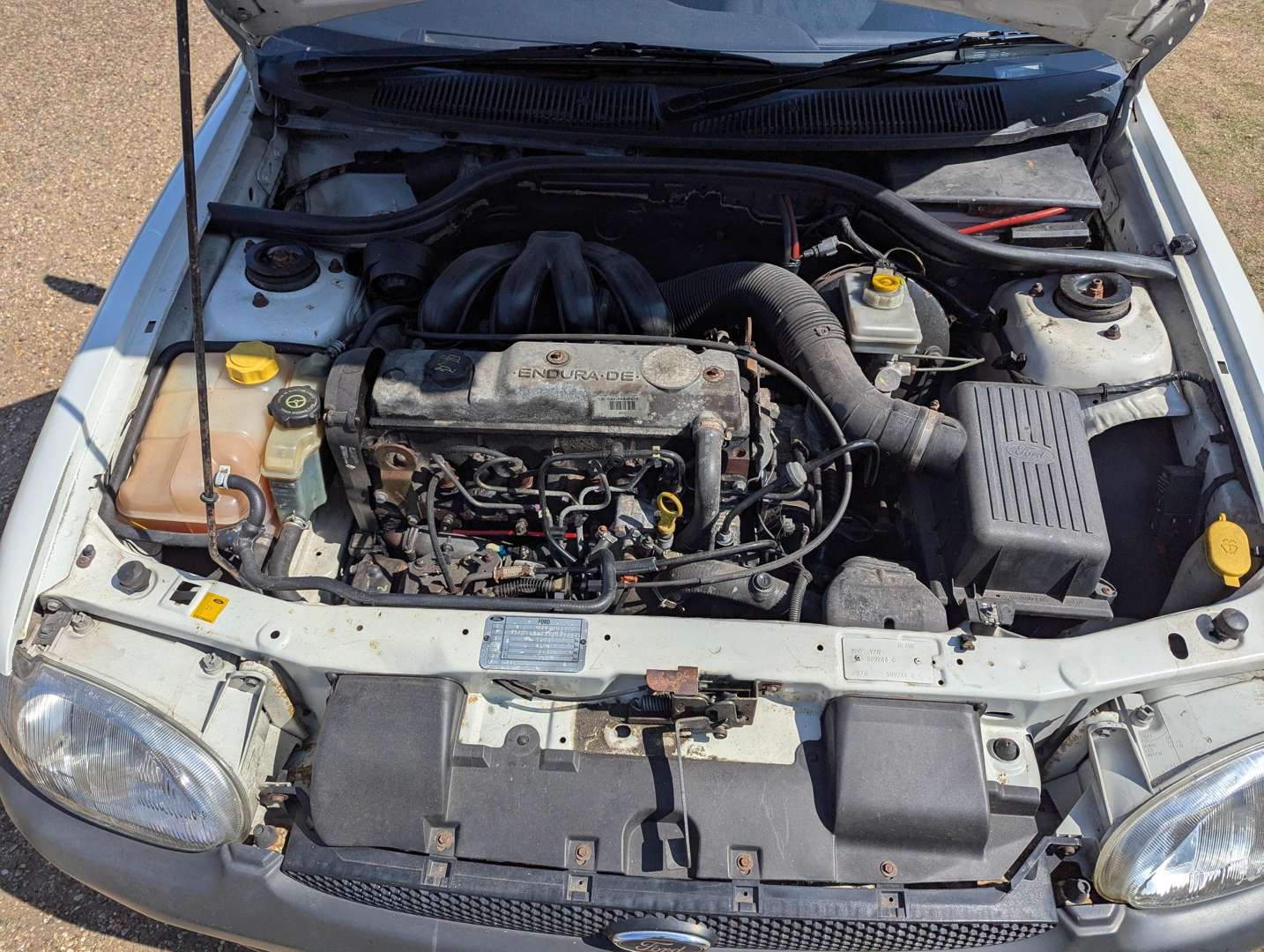 <p>2000 FORD ESCORT VAN 55D</p>