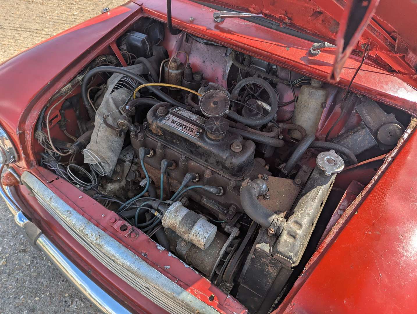 <p>1966 MORRIS MINI COOPER S 1275</p>