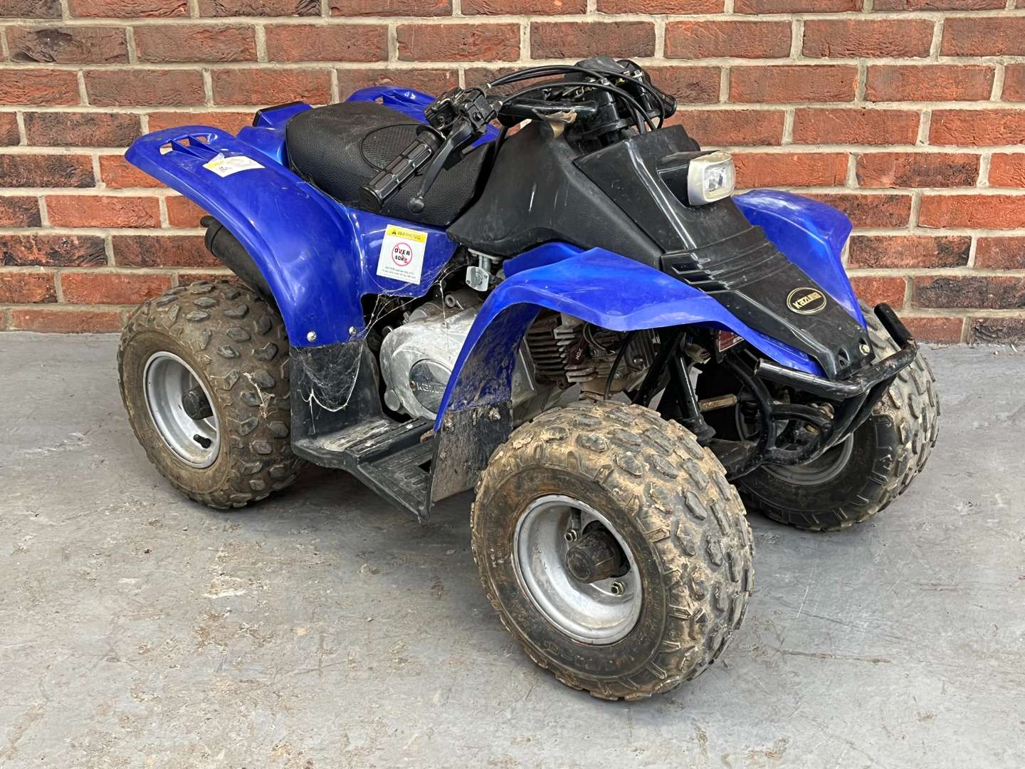 <p>KAZUMA KIDS QUAD BIKE</p>