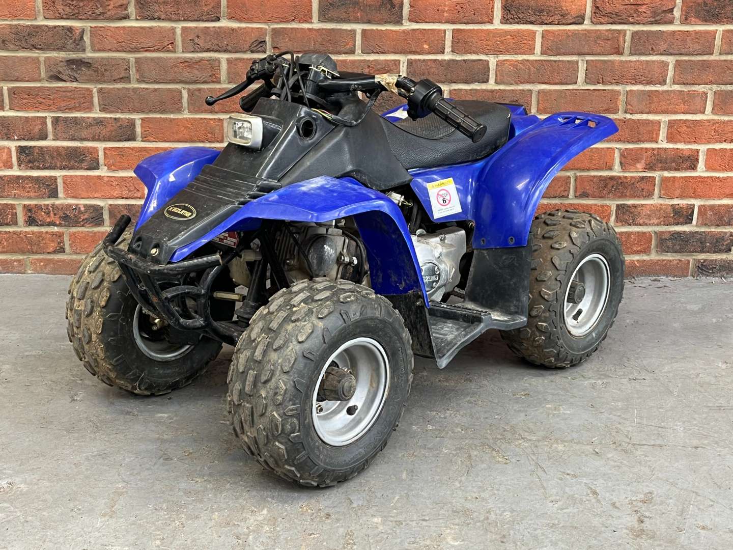 <p>KAZUMA KIDS QUAD BIKE</p>