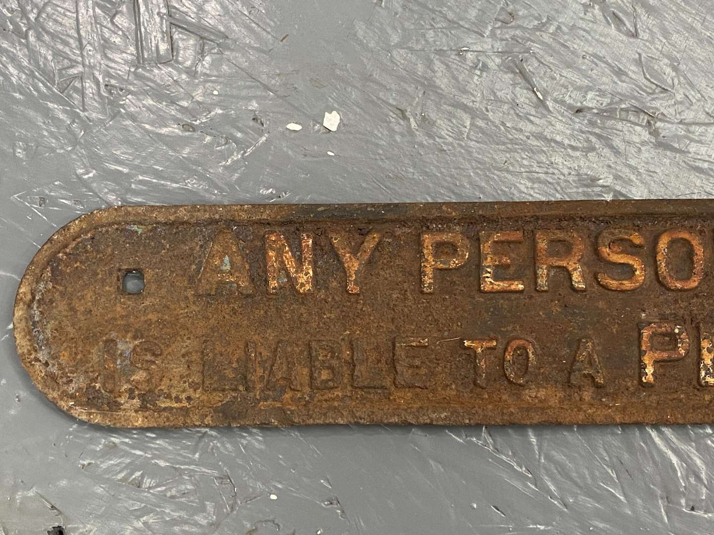 <p>A cast iron Railway Penalty sign,</p>