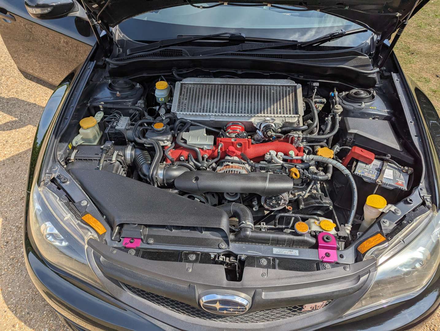 <p>2009 SUBARU IMPREZA WRX STI SPEC-C</p>