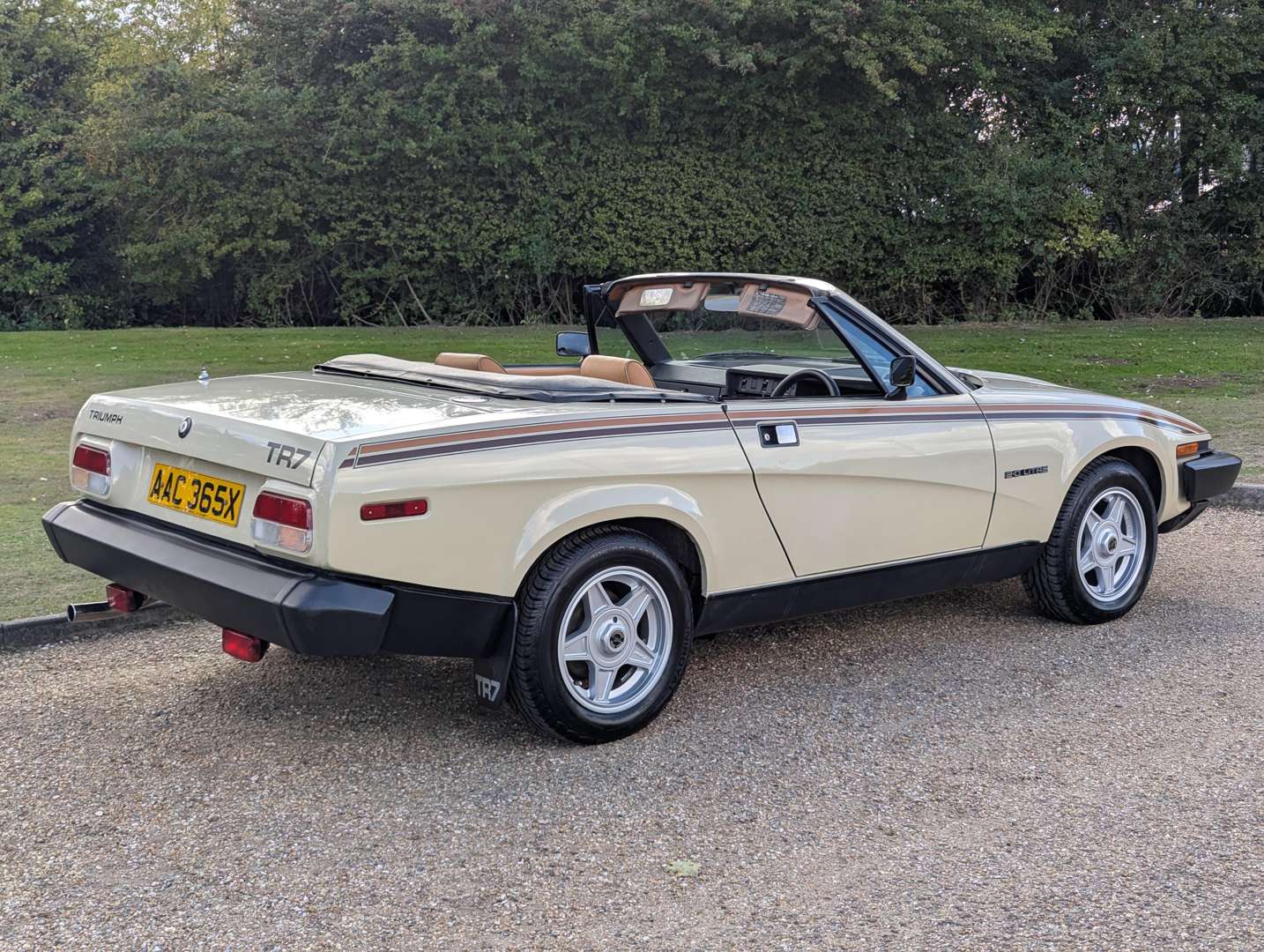 <p>1982 TRIUMPH TR7 SPRINT 2.0 CONVERTIBLE</p>