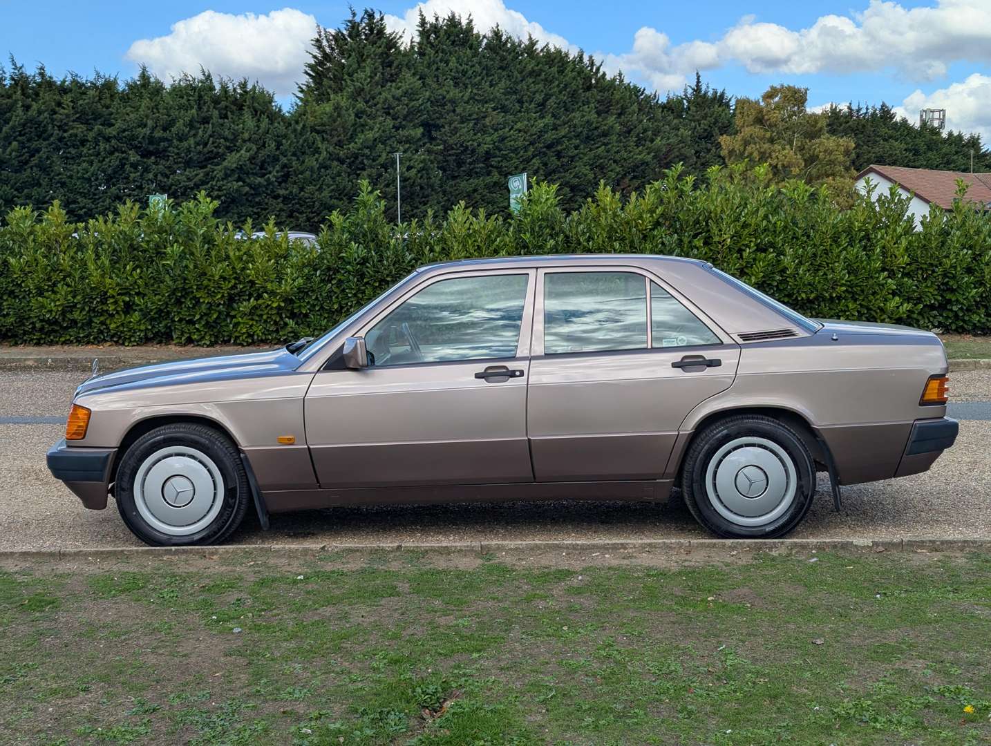 <p>1993 MERCEDES 190E 2.0 AUTO</p>